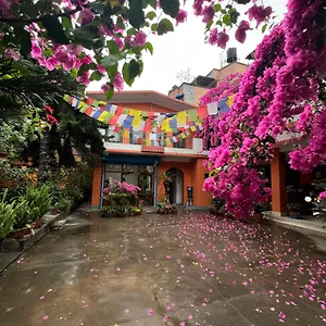 Sun Rise Guest house